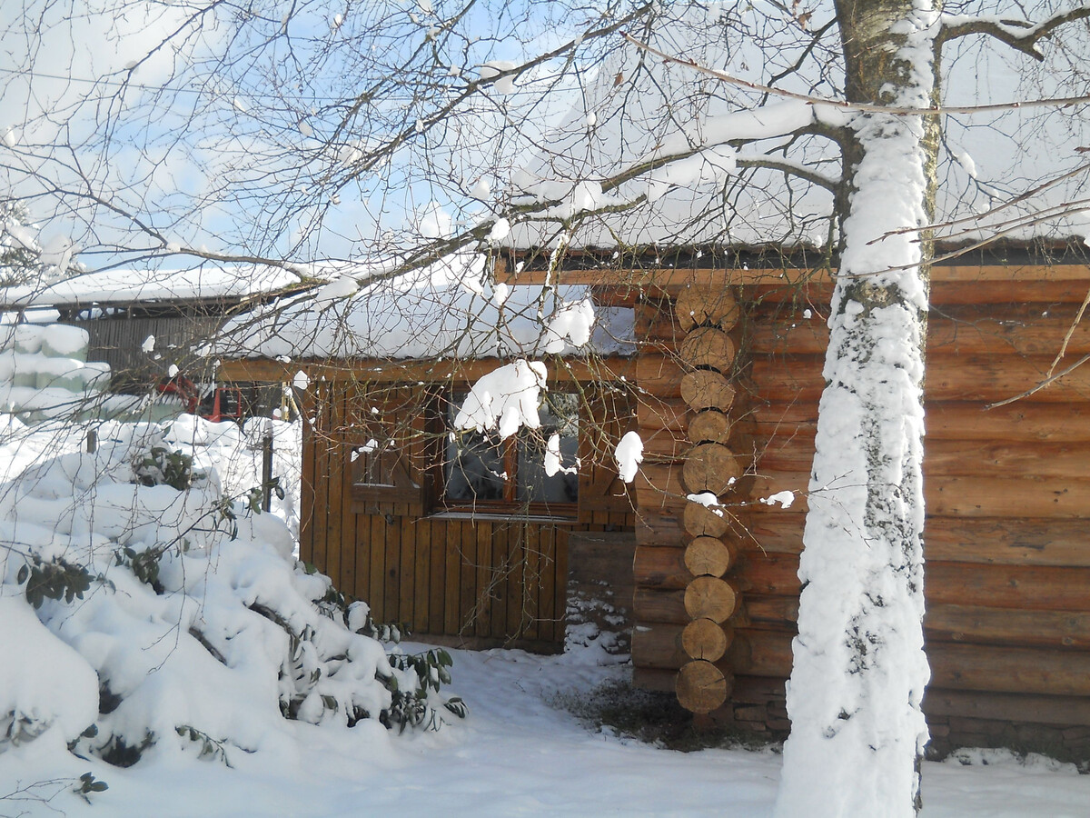 Chalet en rondins 2 pers. au cœur du Saulcy - Photo 16