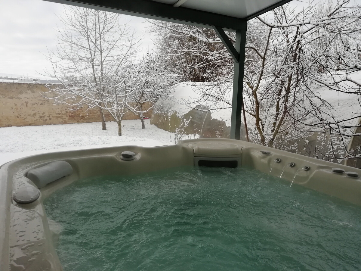 L'Atelier du Ministre – Gîte spa et véranda - Photo 24