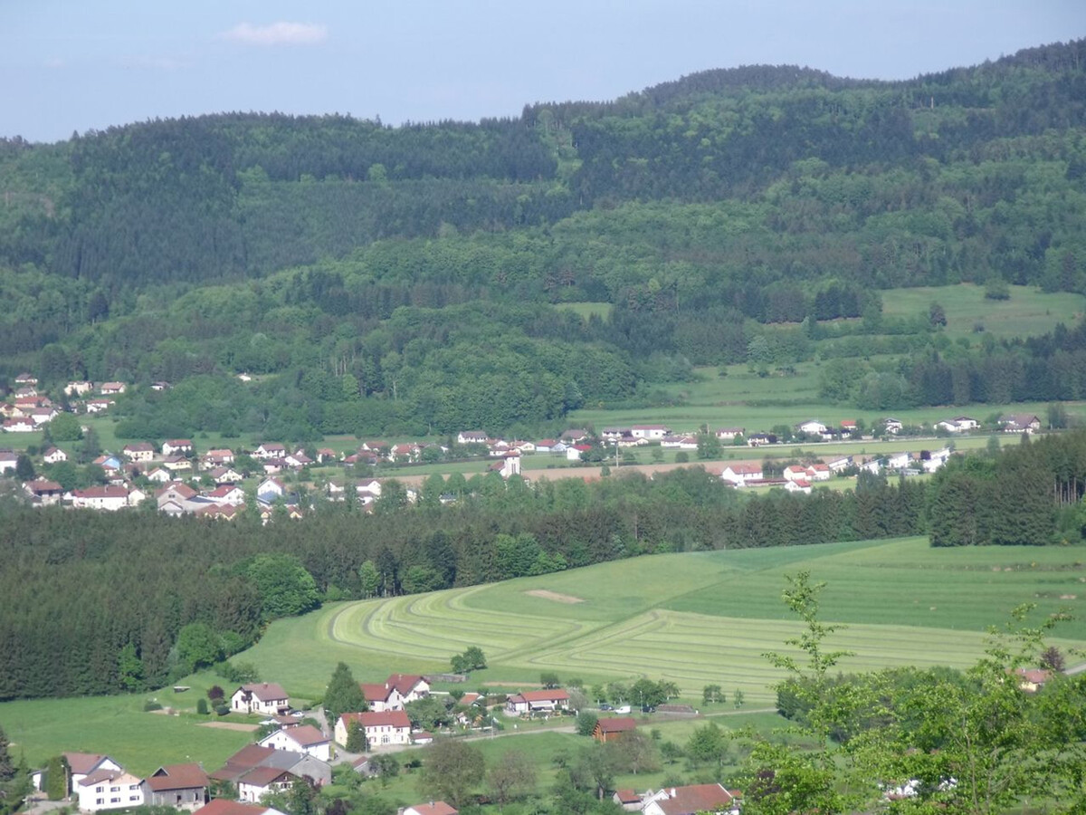 Gîte 6 personnes avec jardin, cheminée et parking à Jussarupt - Photo 27