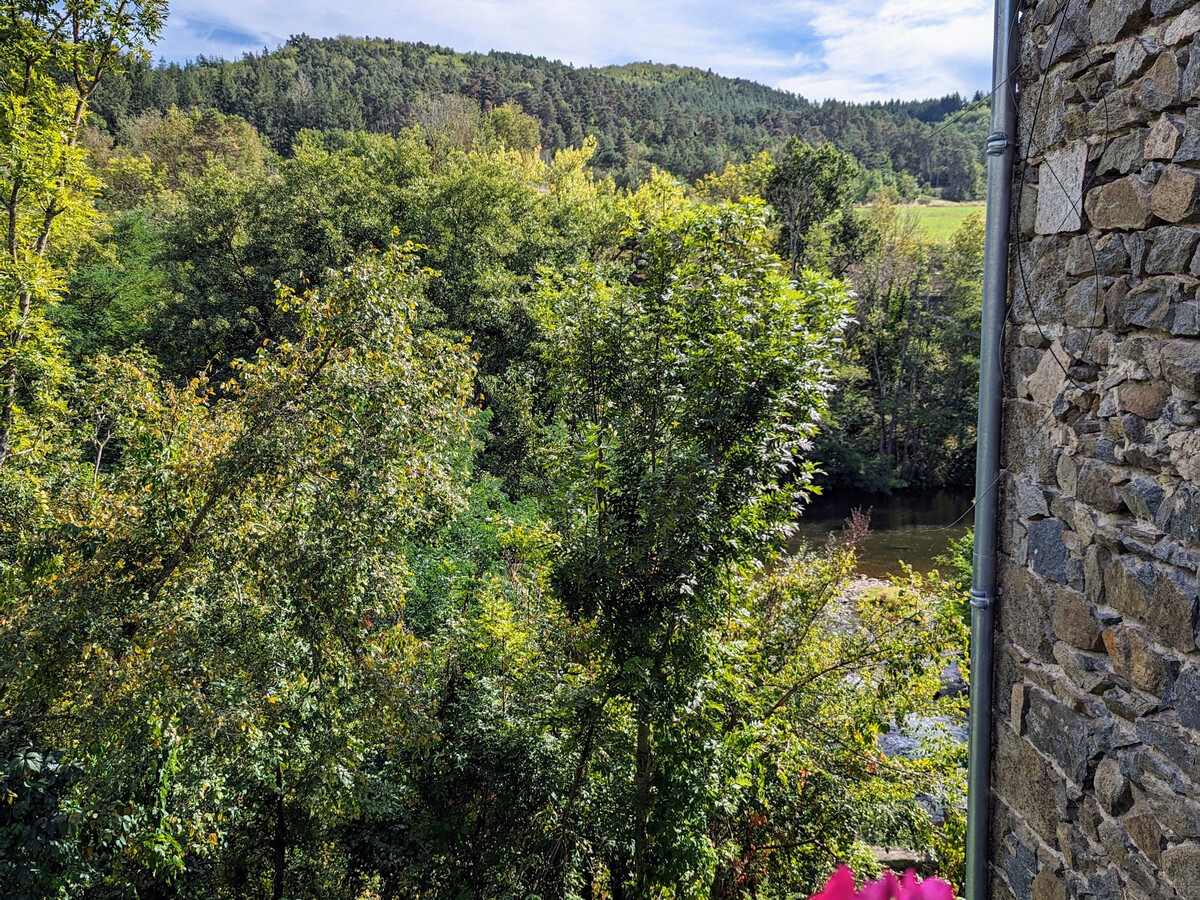 Gite 6 pers. au bord de l'Allier, jardin en terrasses - Photo 16