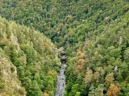 Gîte en pierre 11 pers. près du Lac de Lavalette : photo 23