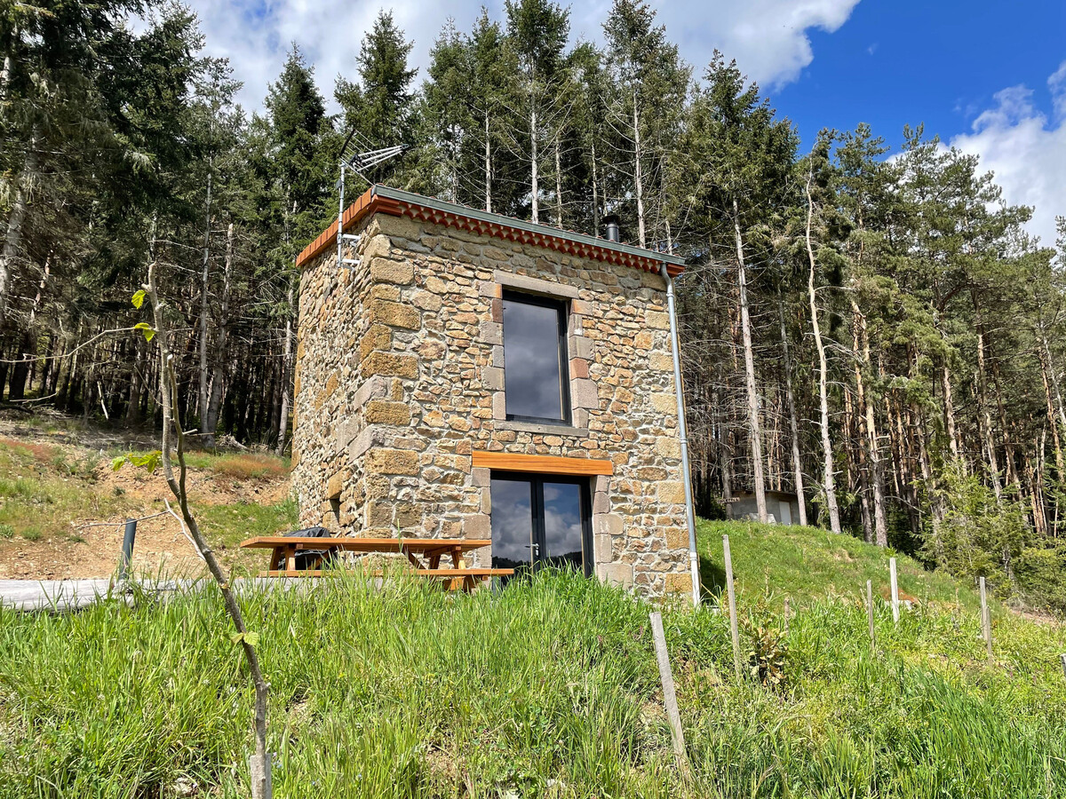 Maison de vigne rénovée à Langeac, 3 ha en nature - Photo 2
