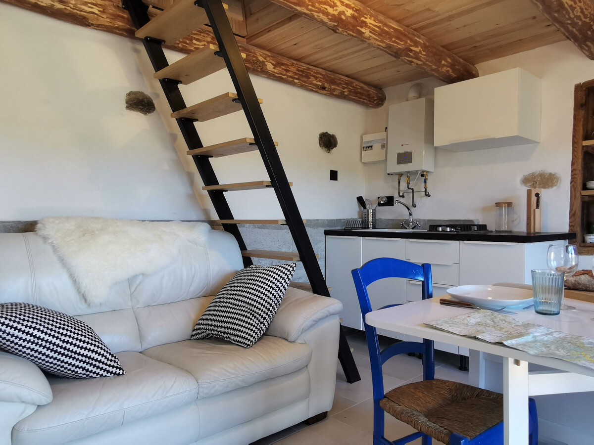 Maison de vigne rénovée à Langeac, 3 ha en nature - Photo 3
