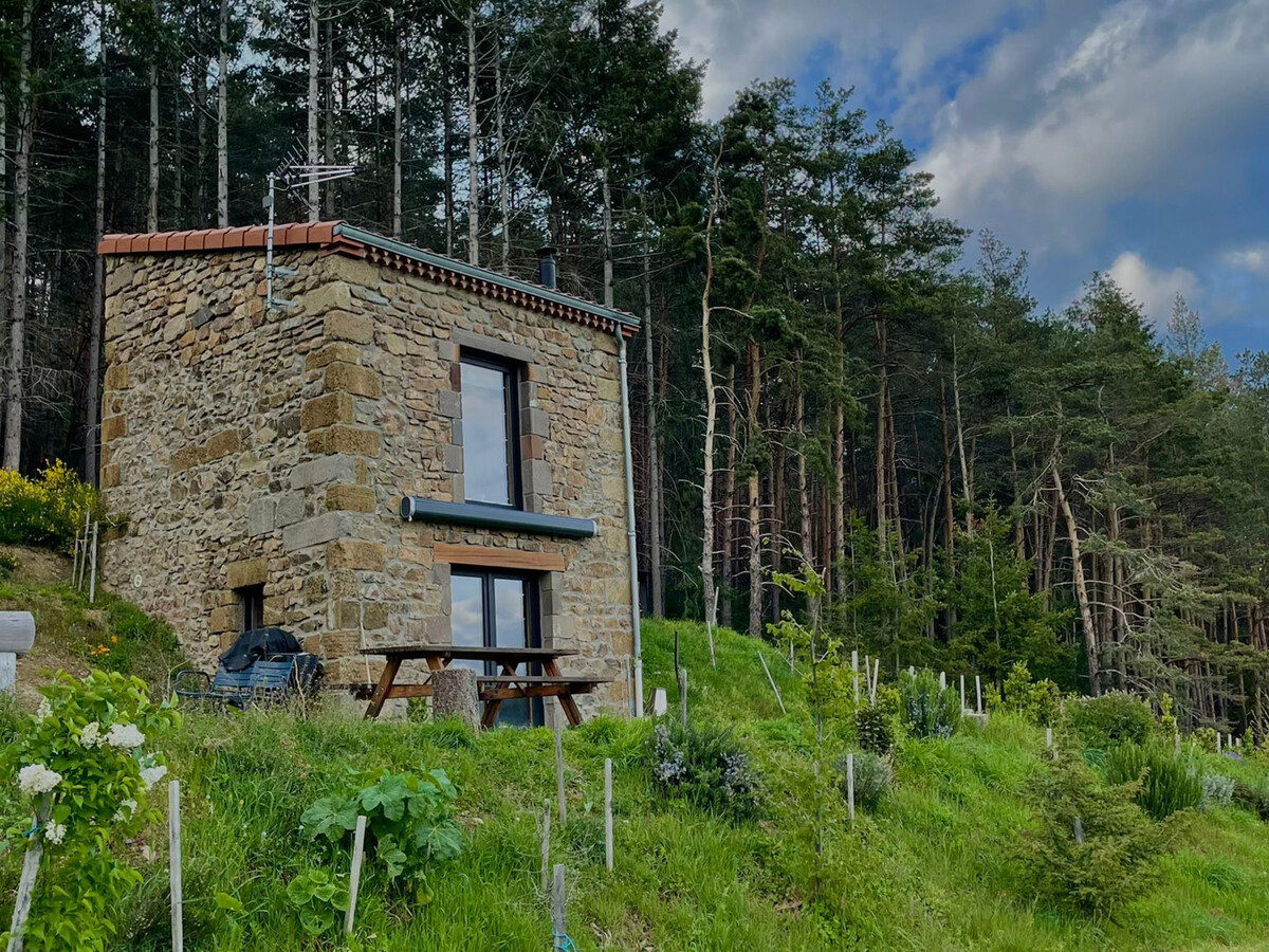 Maison de vigne rénovée à Langeac, 3 ha en nature - Photo 7