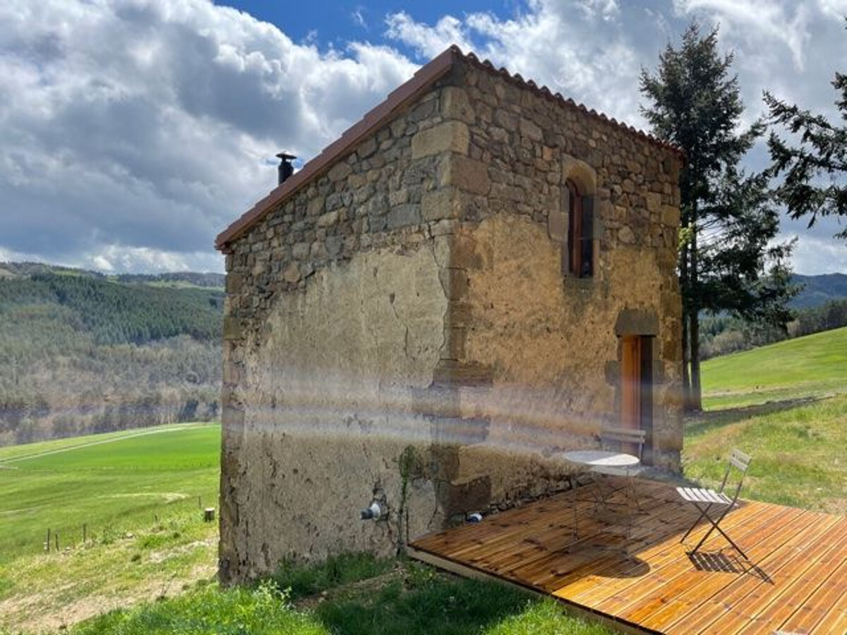 Maison de vigne rénovée à Langeac, 3 ha en nature - Photo 9
