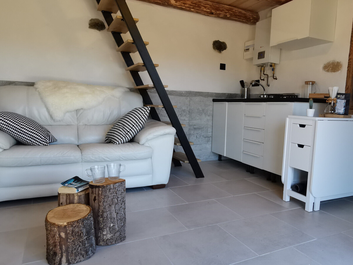 Maison de vigne rénovée à Langeac, 3 ha en nature - Photo 10