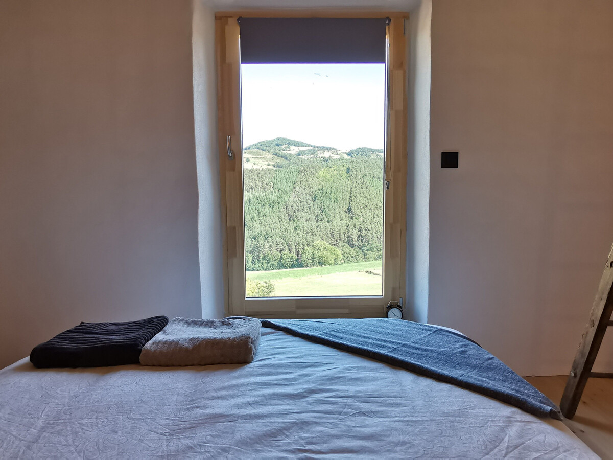 Maison de vigne rénovée à Langeac, 3 ha en nature - Photo 13