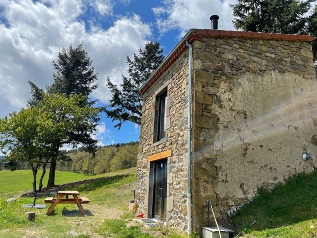 Maison de vigne rénovée à Langeac, 3 ha en nature - Photo 15