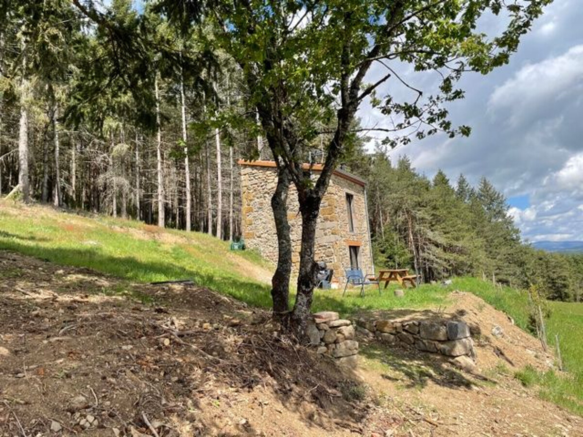 Maison de vigne rénovée à Langeac, 3 ha en nature - Photo 18