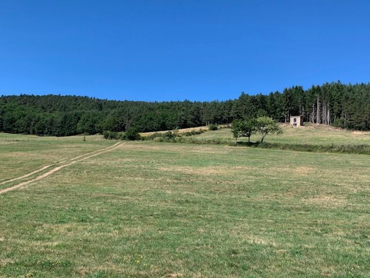 Maison de vigne rénovée à Langeac, 3 ha en nature - Photo 20