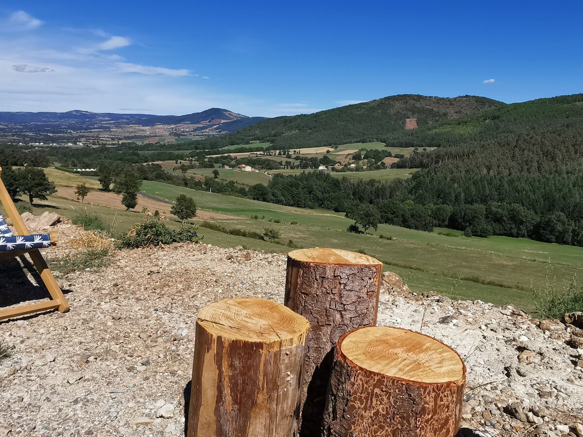 Maison de vigne rénovée à Langeac, 3 ha en nature - Photo 25