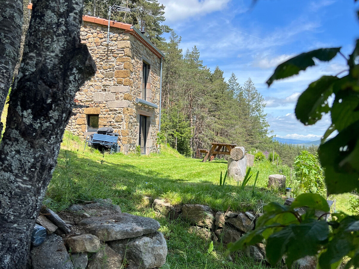Maison de vigne rénovée à Langeac, 3 ha en nature - Photo 26