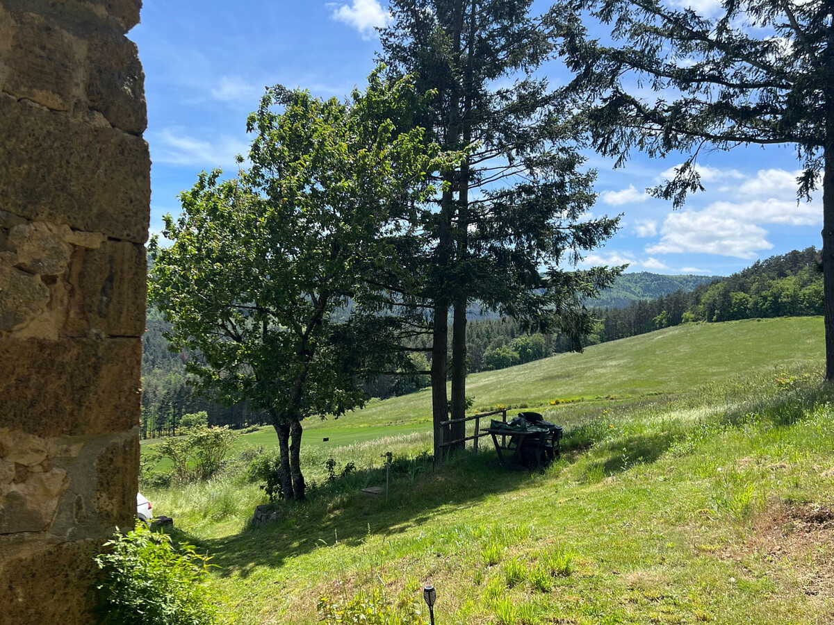 Maison de vigne rénovée à Langeac, 3 ha en nature - Photo 29