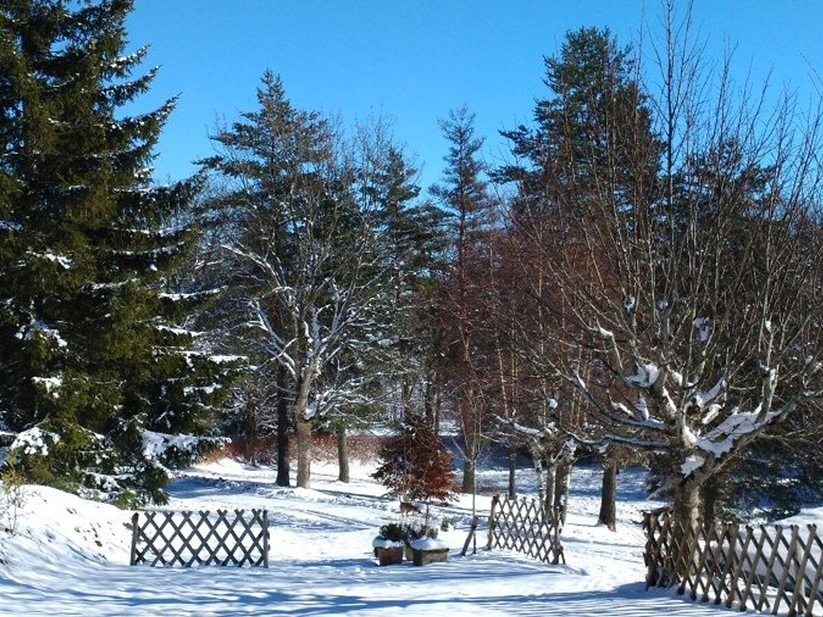 Gîte Nature au Chambon-sur-Lignon : 2 terrasses, 5-7 pers. - Photo 29