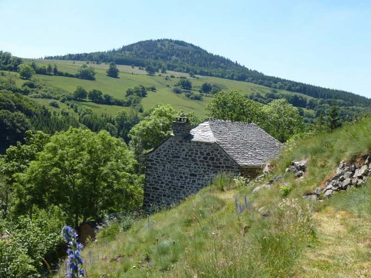 Gîte 6 personnes aux Estables, terrasse 50m² face au Mézenc - Photo 14