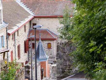 Gîte en pierre XIXᵉ siècle, 6 pers., animaux gratuits : photo 20
