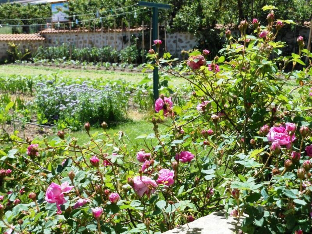 Gîte 6 pers. en Auvergne, cour fermée et jardin privé - Photo 20