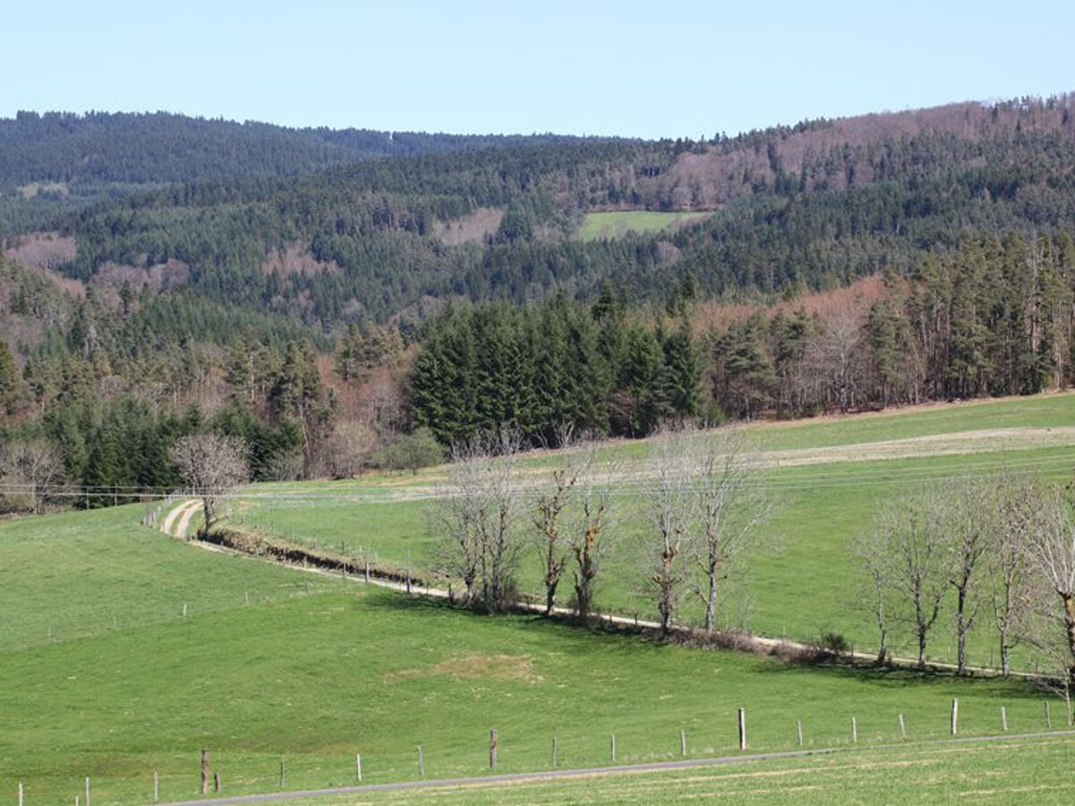 Gîte Le Crécerelle à Saint-Hilaire, 6 pers., cheminée - Photo 16