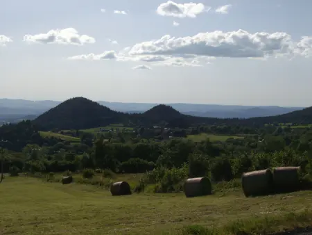 Gîte Meygal 6 pers. - Cheminée, nature volcanique : photo 20
