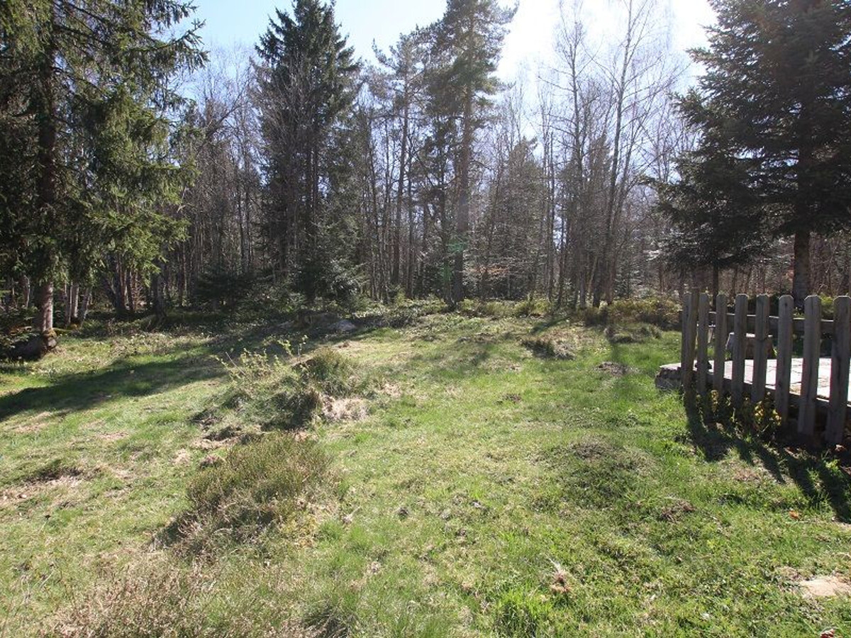 Gîte 3 chambres en forêt du Meygal, 1 km du Lac Bleu - Photo 12