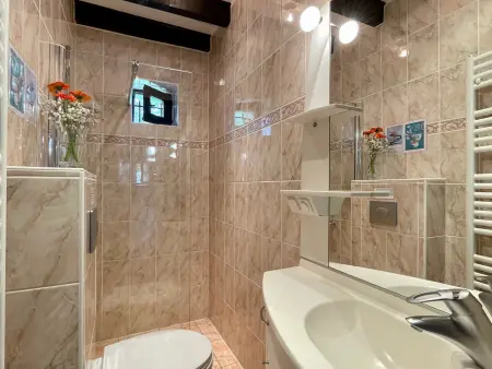 Gîte 8 pers. isolé aux volcans, 4300 m² clos : photo 16
