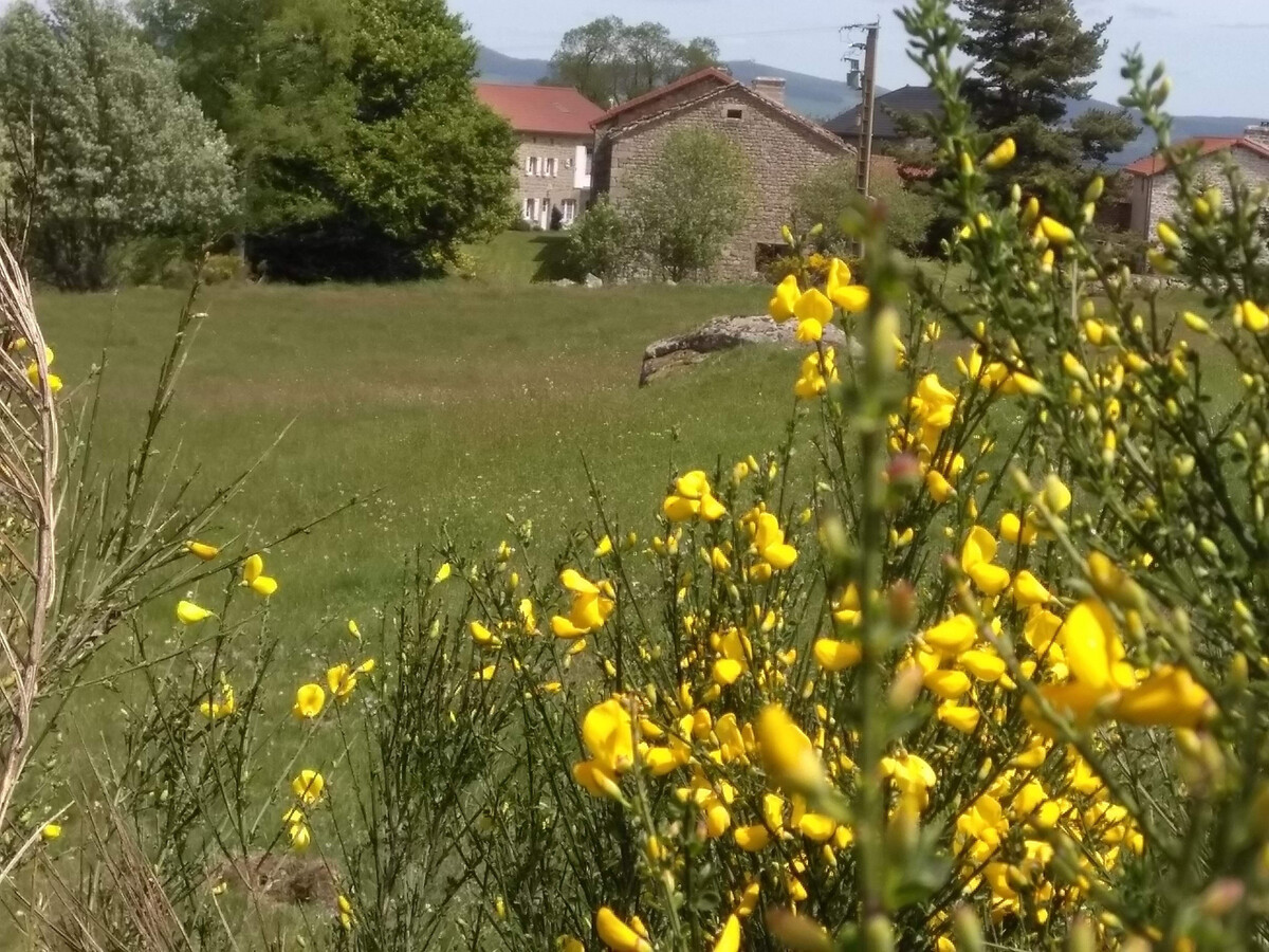 Gîte 8 pers. rénové à Thoras, terrasse et 1200 m² de terrain - Photo 29
