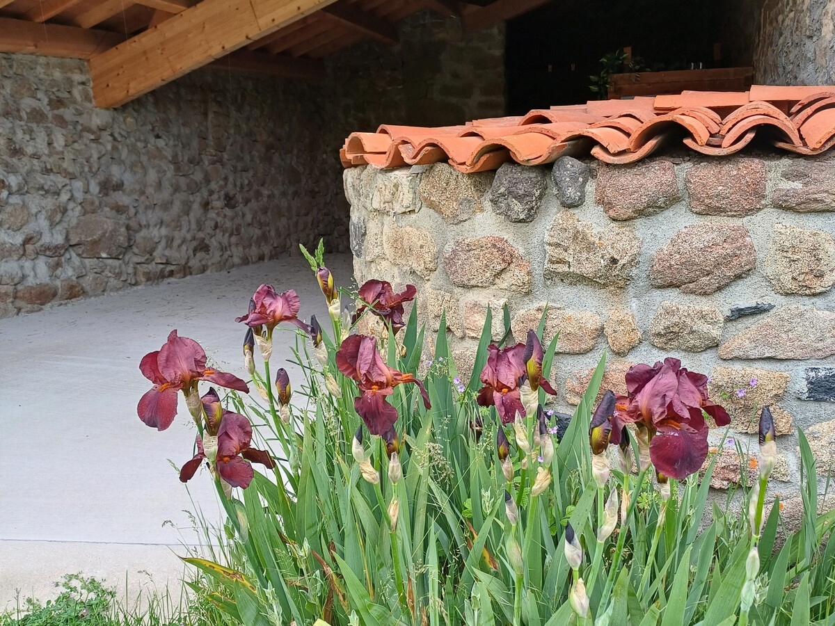 Gîte en pierres, cheminée foyer fermé et jardin clos - Photo 9