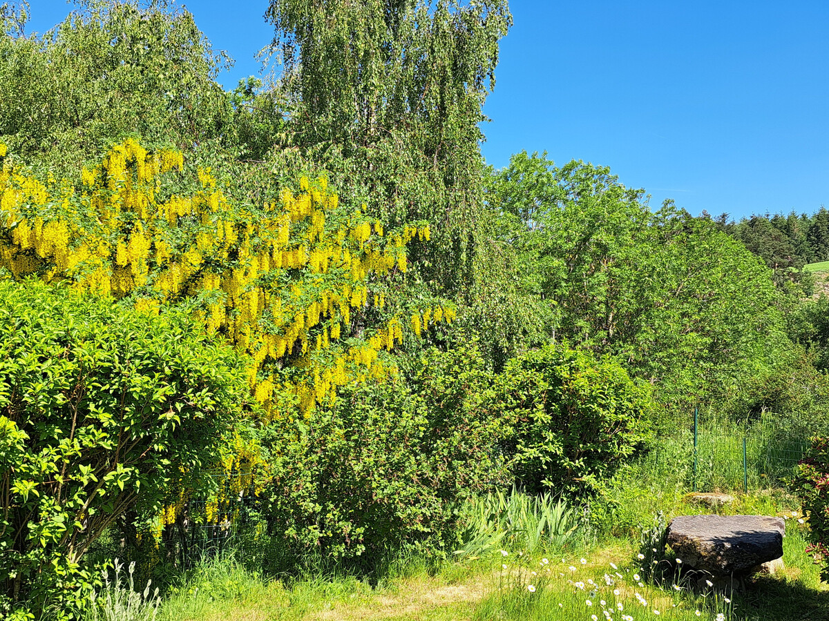 Gîte en pierres, cheminée foyer fermé et jardin clos - Photo 16