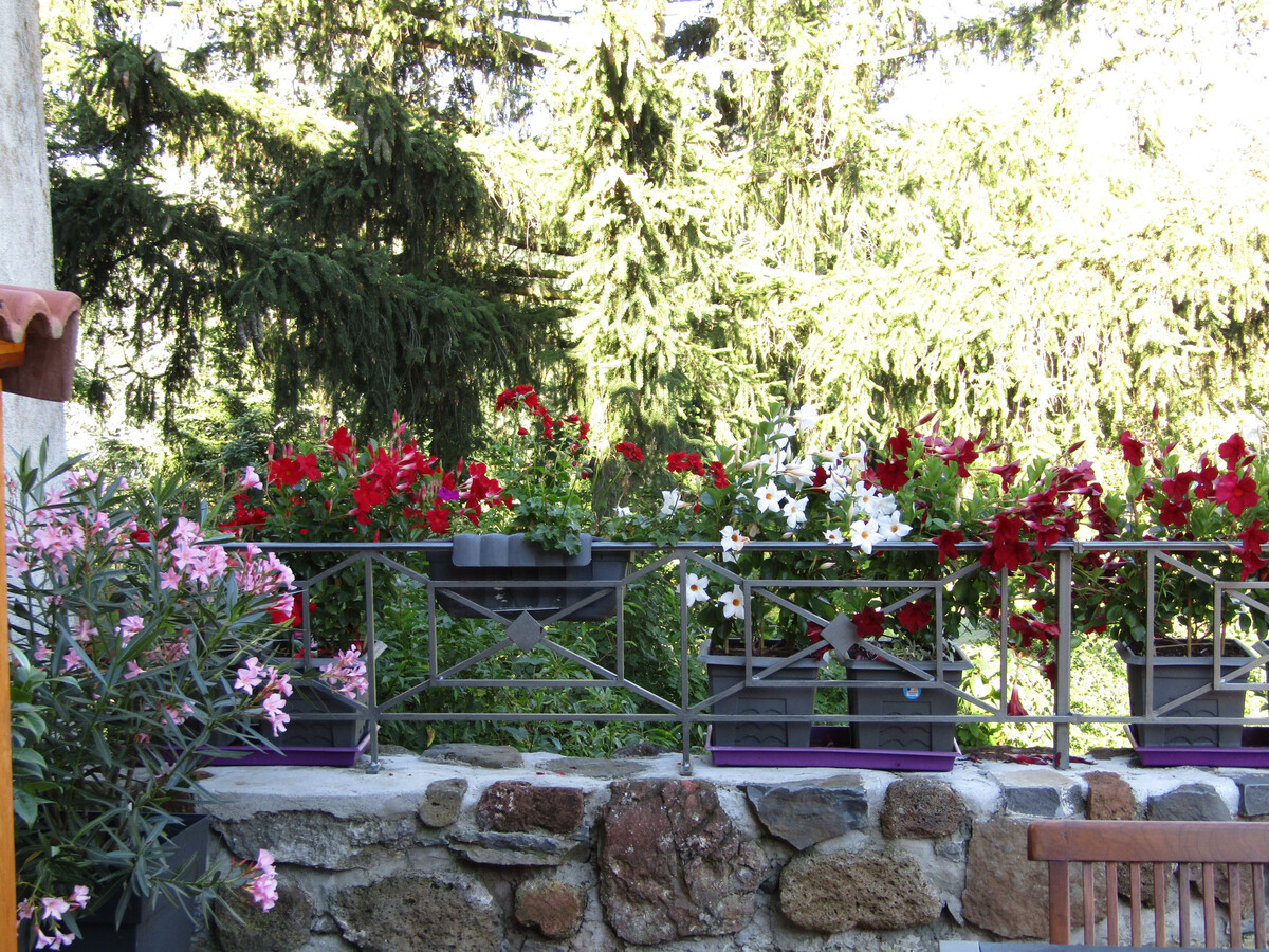 La Petite Galerie du Chardonneret, gîte 6 pers. à Saint-Vidal - Photo 15