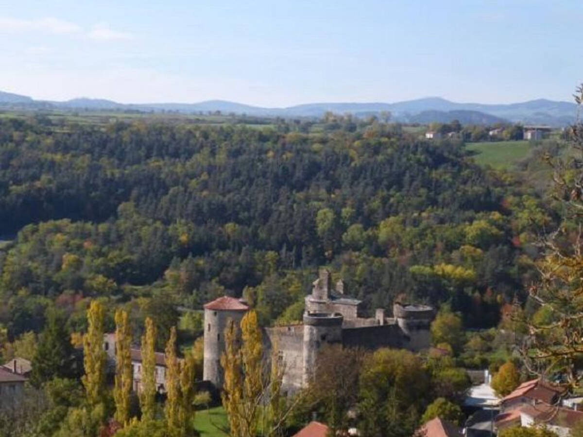 La Petite Galerie du Chardonneret, gîte 6 pers. à Saint-Vidal - Photo 27