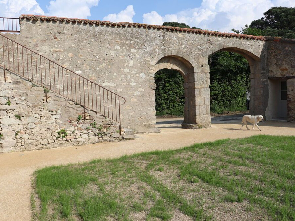Gîte 18ème siècle, piscine couverte et salle de jeux - Photo 17