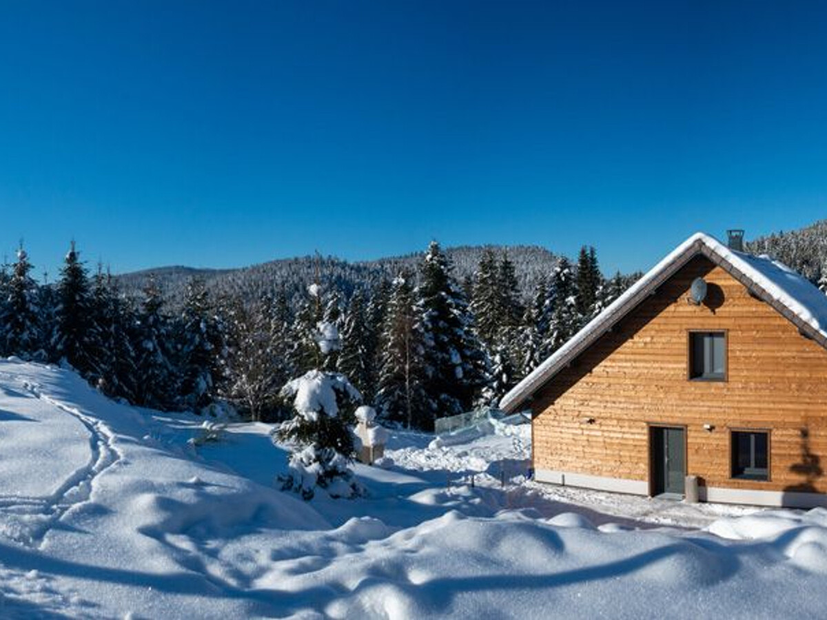 Chalet 14 pers avec spa, piscine et salle de jeux à Ban-sur-Meurthe - Photo 11