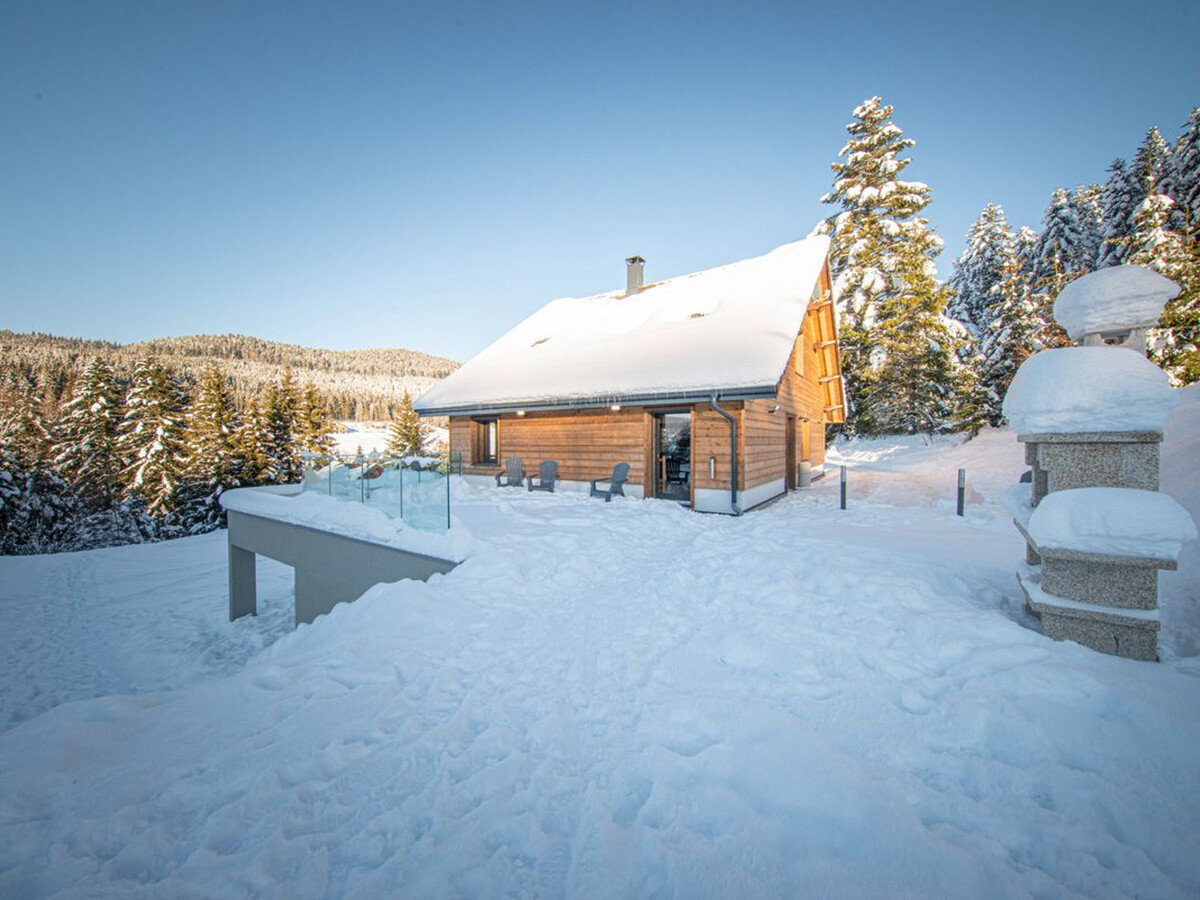 Chalet 14 pers avec spa, piscine et salle de jeux à Ban-sur-Meurthe - Photo 33