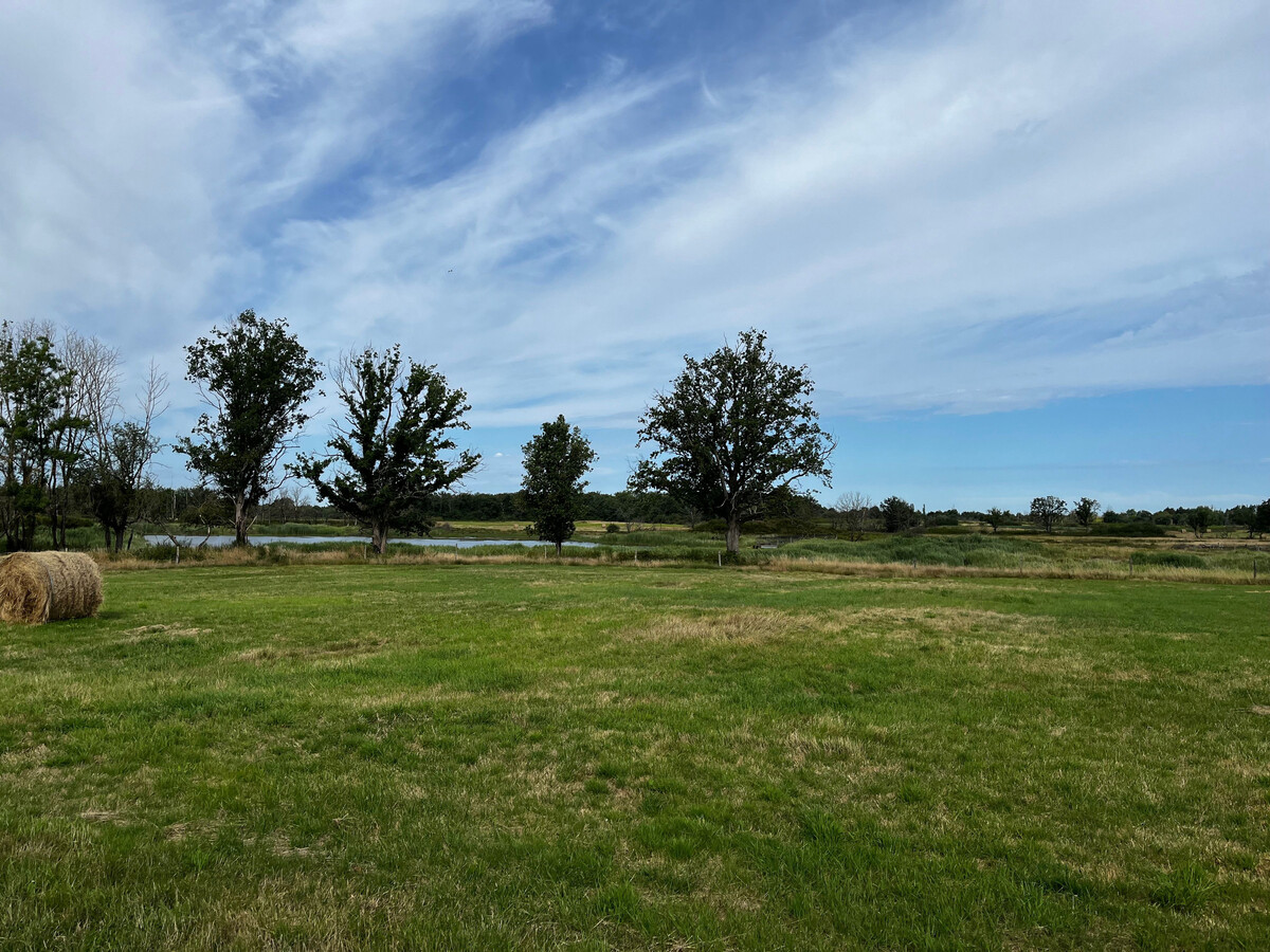 Gîte en Brenne avec étang : observatoire nature - Photo 5