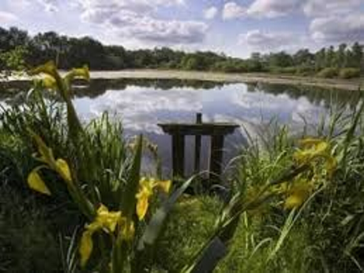 Gîte en Brenne avec étang : observatoire nature - Photo 7