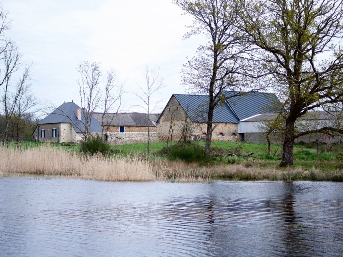Gîte en Brenne avec étang : observatoire nature - Photo 10
