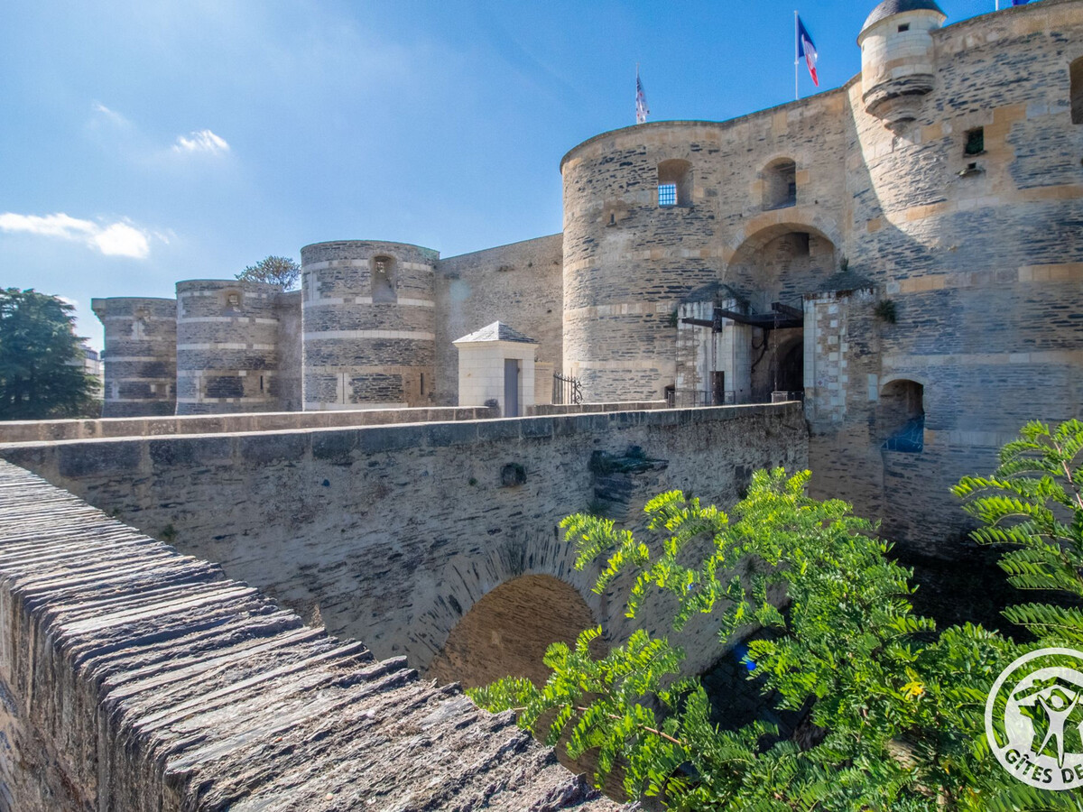 Studio 25 m² centre historique Angers, portail bleu - Photo 12