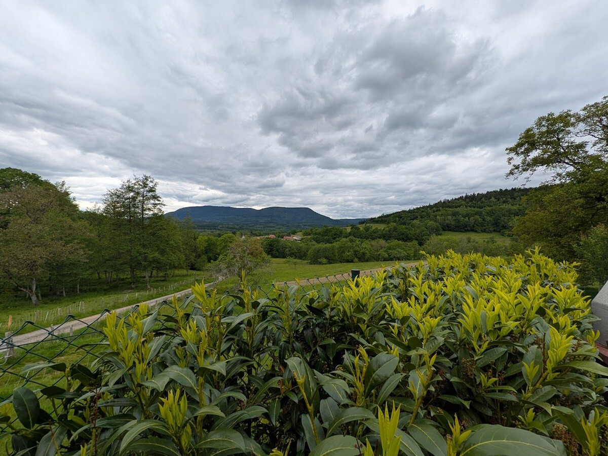 Gîte 4 personnes à Combrimont, vue montagne et terrasse couverte - Photo 17