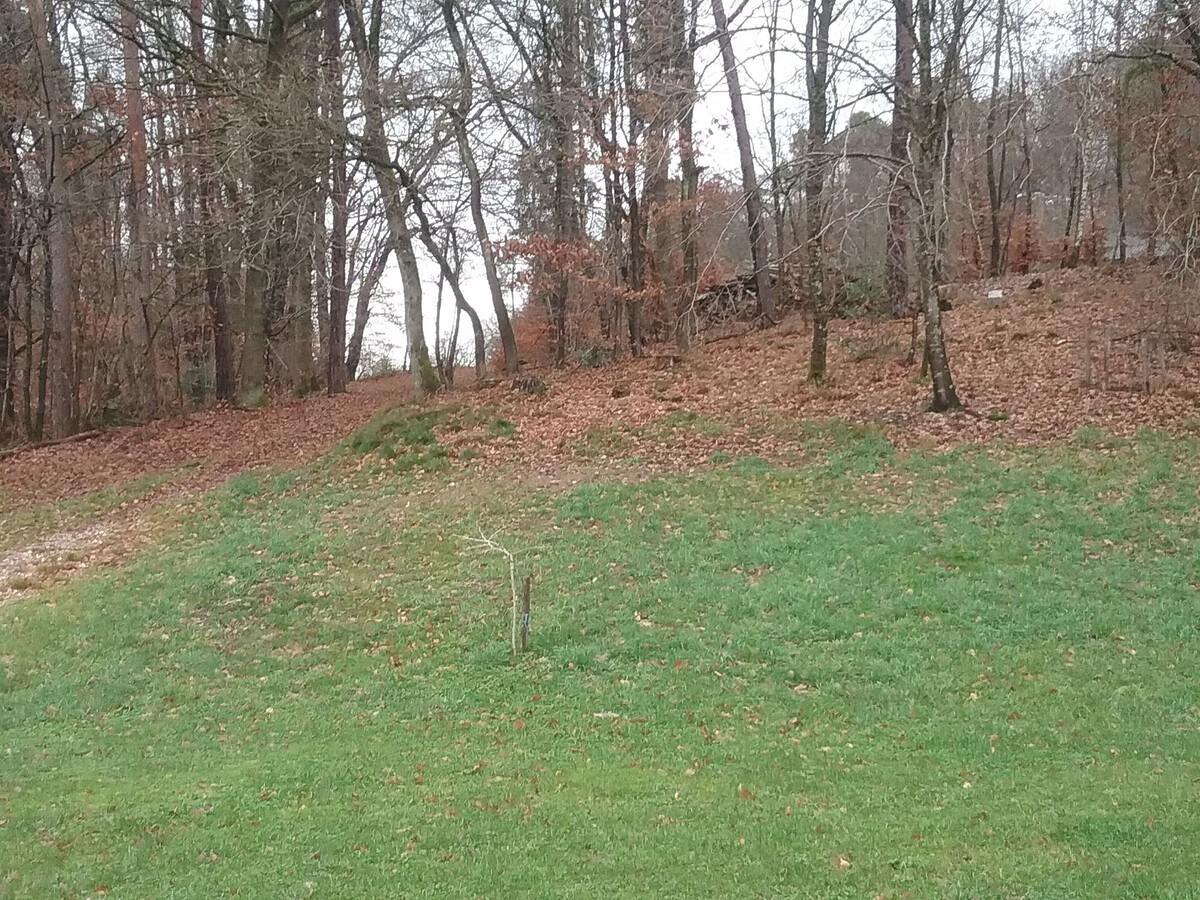 Gîte les Baraques – Maison 6 pers. avec terrain de pétanque - Photo 23