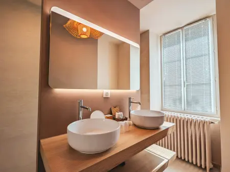 Maison de maître 8 chambres avec spa et jardin à Châteauroux : photo 4