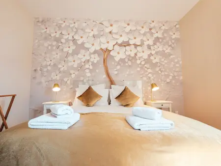 Maison de maître 8 chambres avec spa et jardin à Châteauroux : photo 35