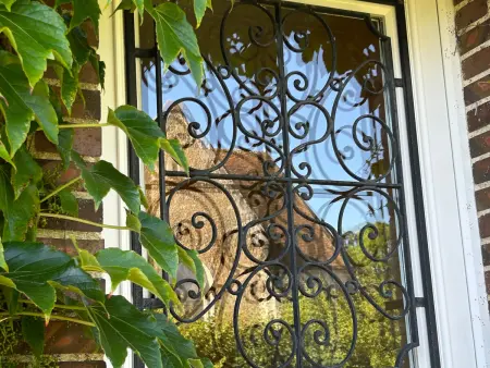 Location gite à Montireau