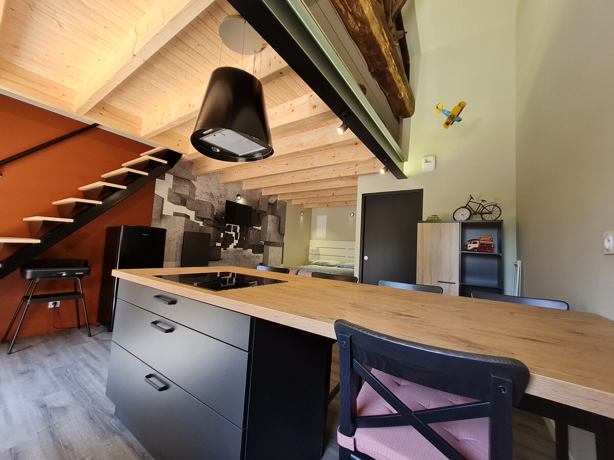 Studio avec mezzanine, cour privée et piscine à Rochetrejoux - Photo 6