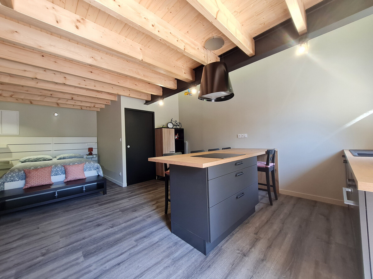 Studio avec mezzanine, cour privée et piscine à Rochetrejoux - Photo 9