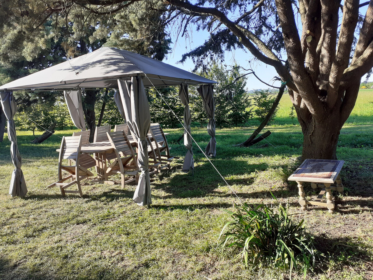 Gîte La Grappe d'Or au cœur du vignoble du Layon - Photo 4