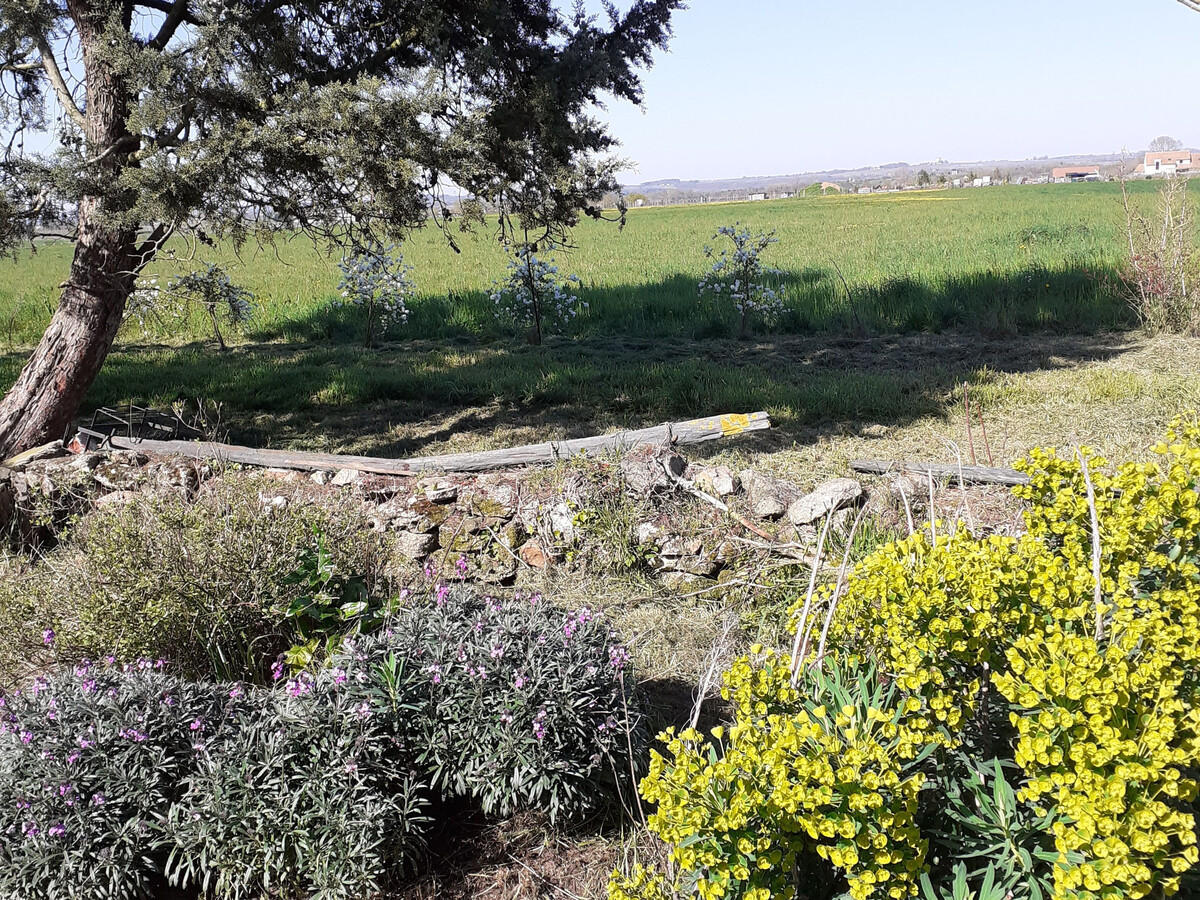 Gîte La Grappe d'Or au cœur du vignoble du Layon - Photo 34
