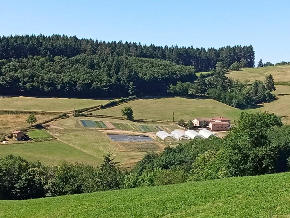 Le Nid – Gîte 6 pers. en ferme rénovée avec jardin clos - Photo 20