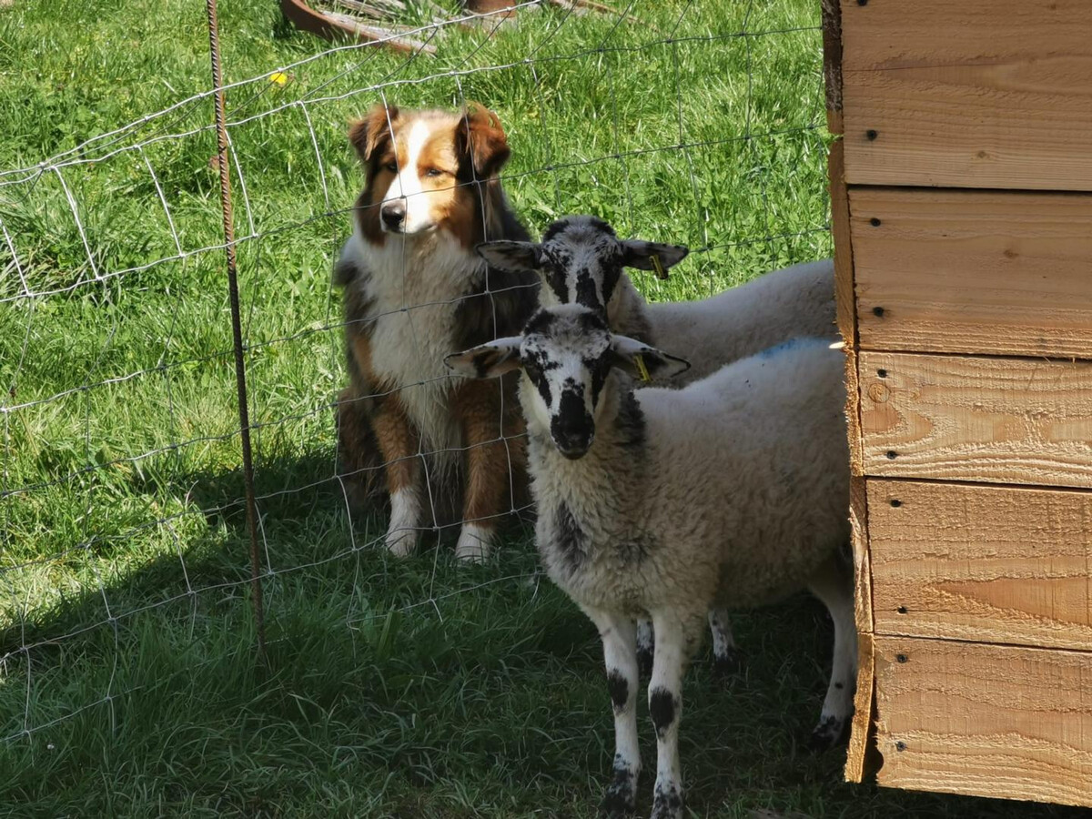 Le Nid – Gîte 6 pers. en ferme rénovée avec jardin clos - Photo 22