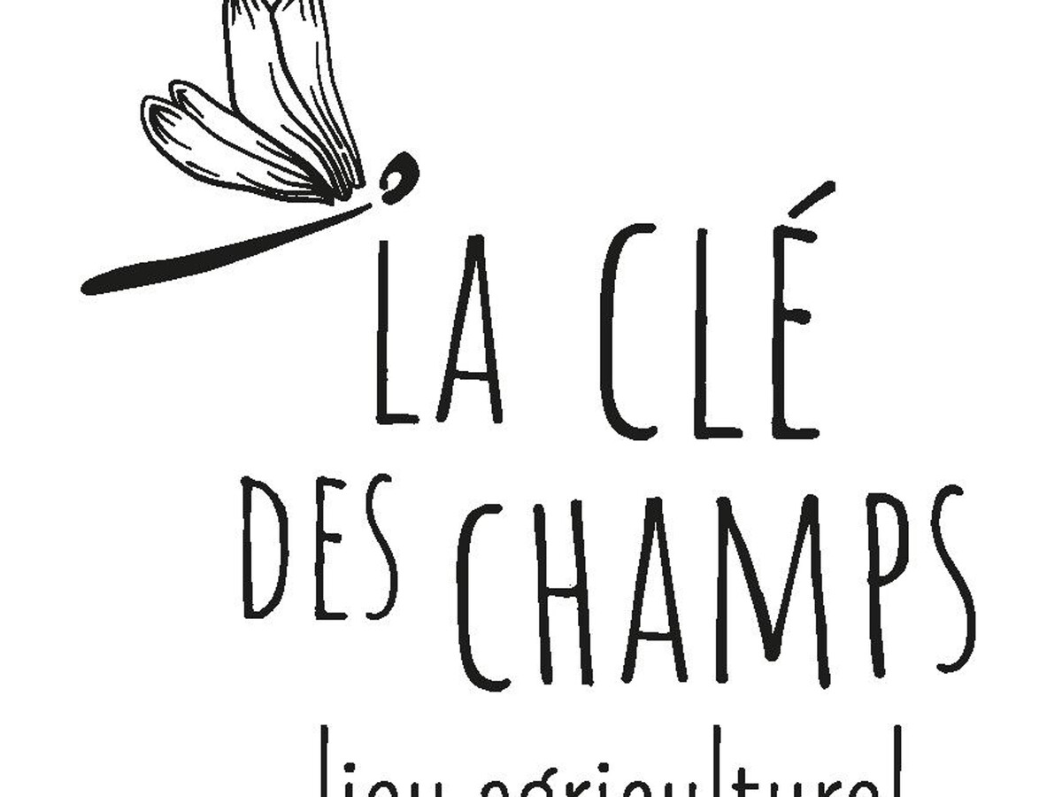 Le Nid – Gîte 6 pers. en ferme rénovée avec jardin clos - Photo 24