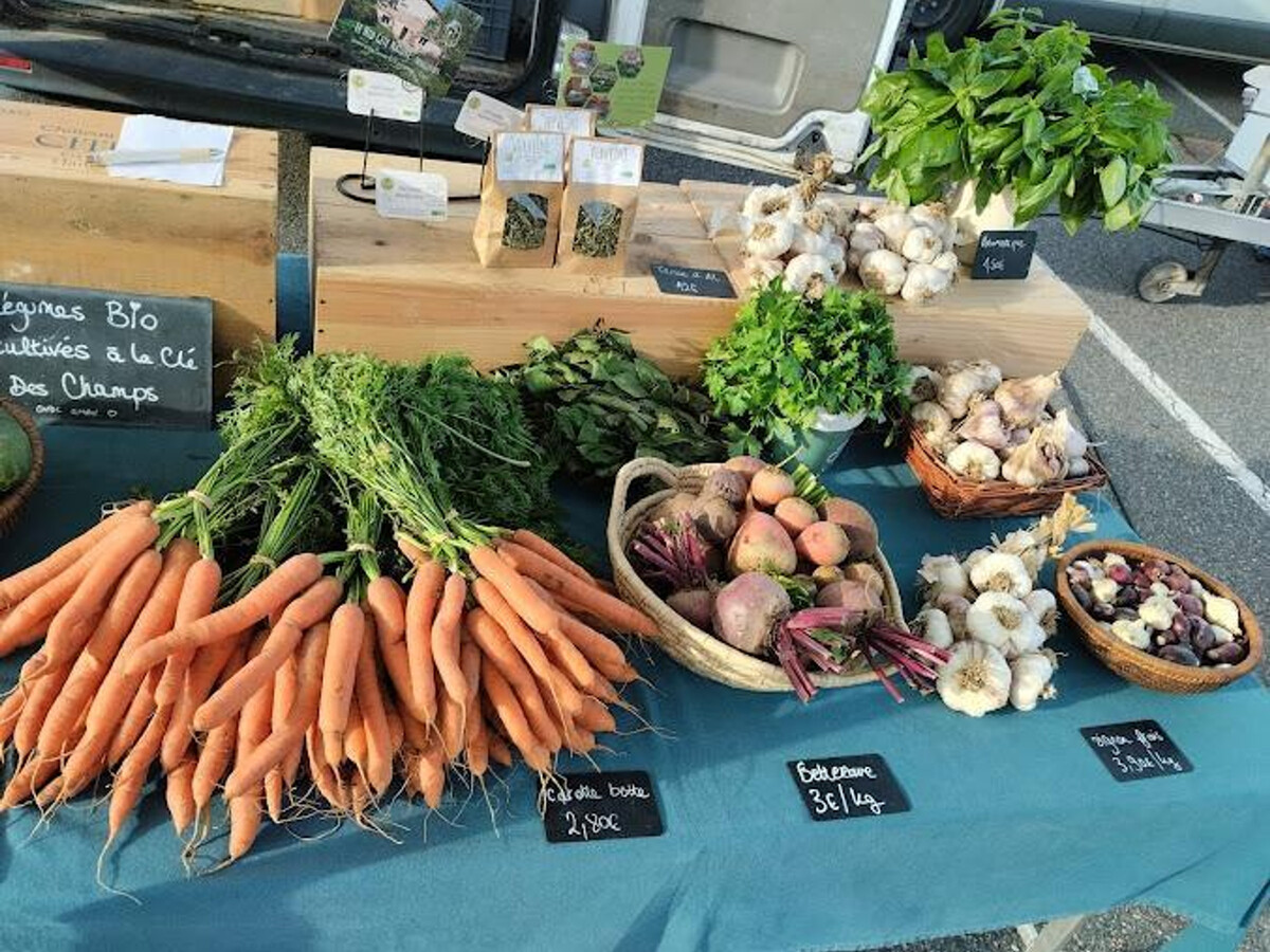 Le Nid – Gîte 6 pers. en ferme rénovée avec jardin clos - Photo 25